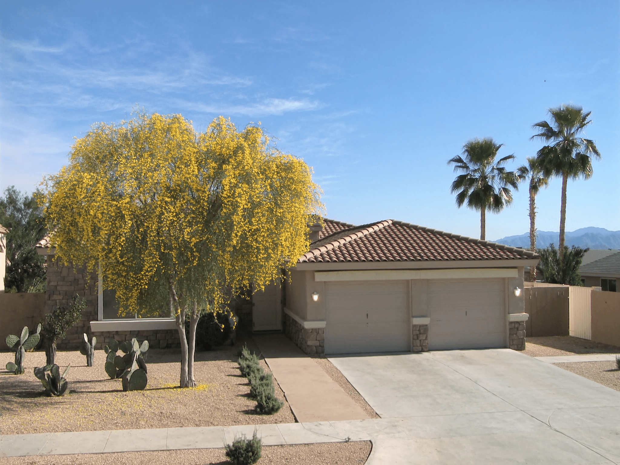 Palo Verde — desert-landscaped streets and quieter clubhouse