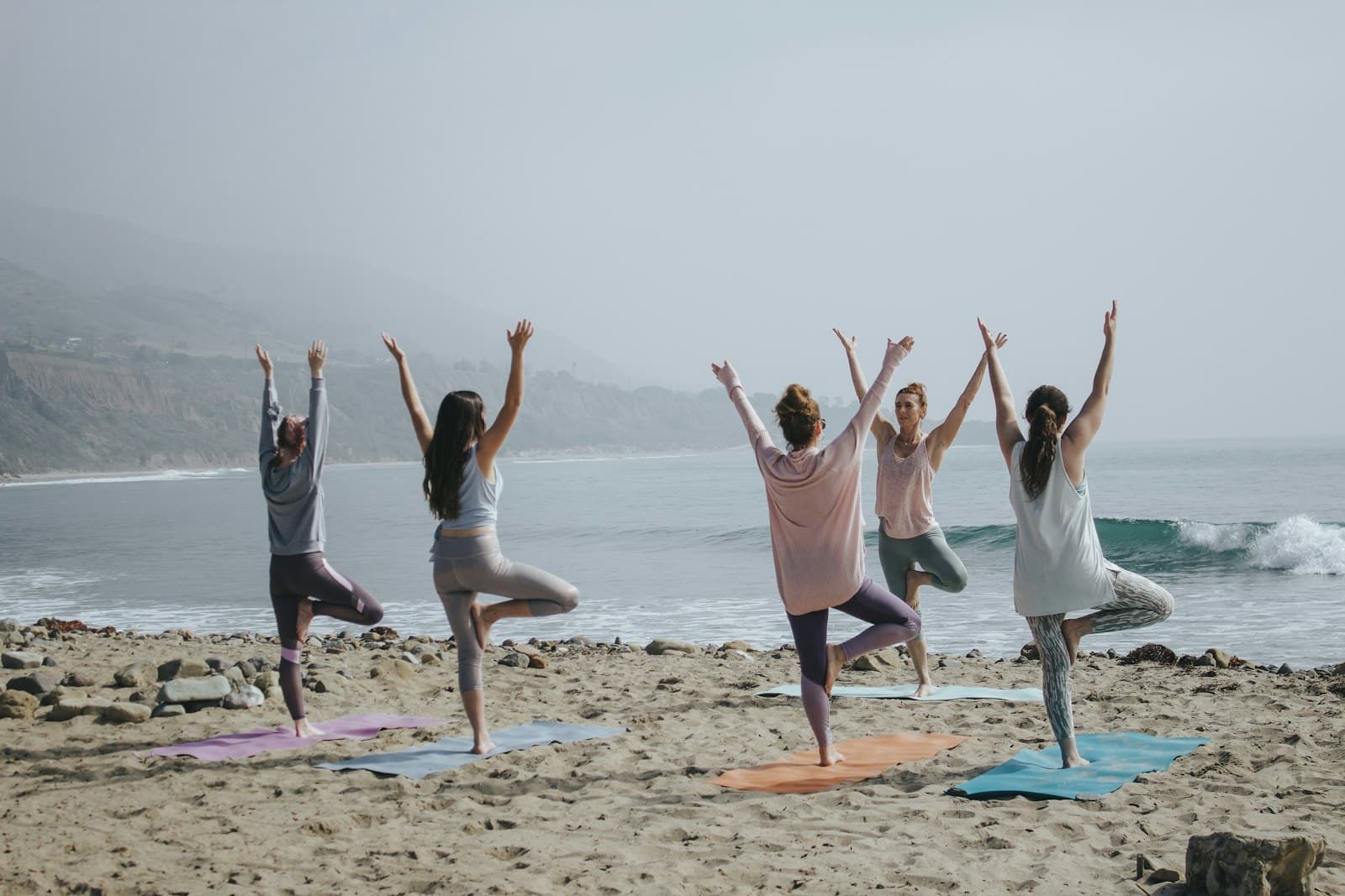 Wellness and movement